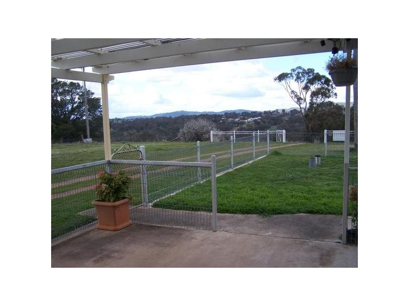 38 Lachlan Street, Bigga NSW 2583