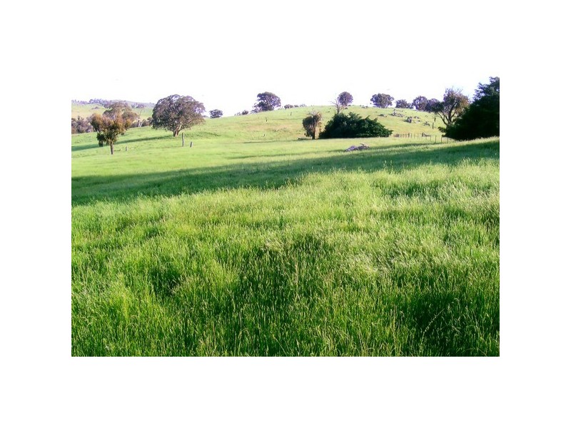 “Wyoming South” Hailstone Road, Bigga NSW 2583