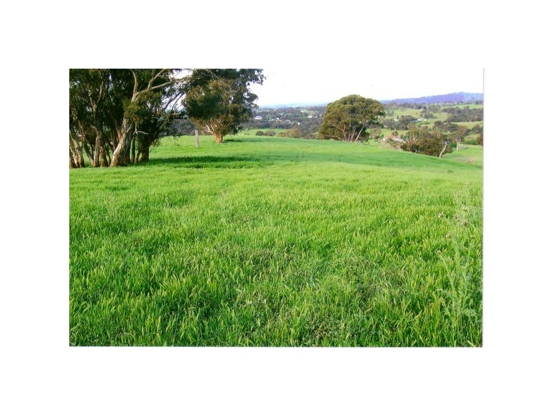 “Wyoming South” Hailstone Road, Bigga NSW 2583