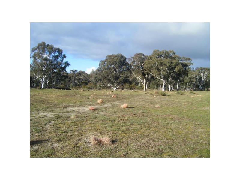 204 Wolong Road, Oallen NSW 2622