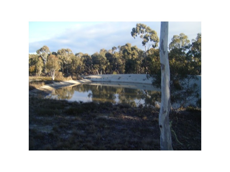 204 Wolong Road, Oallen NSW 2622