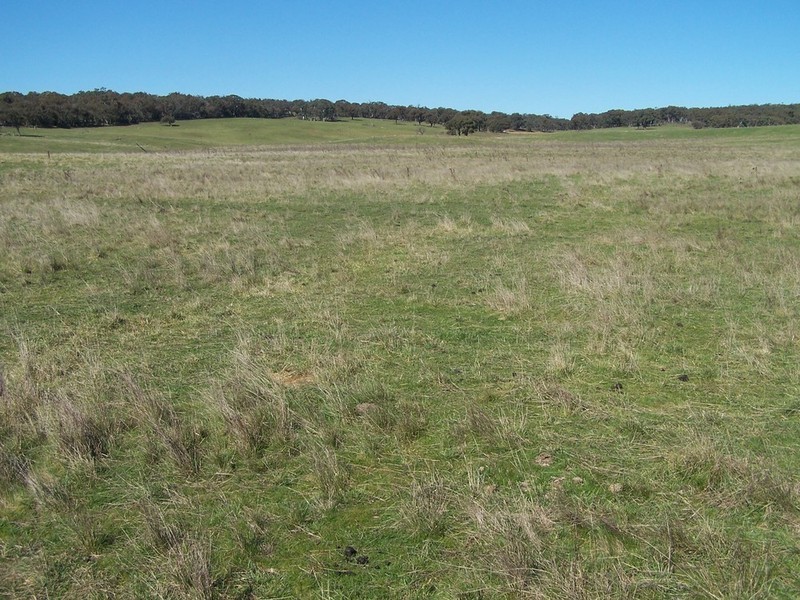 Lot 1 168 Cockatoo Road, Yalbraith NSW 2580