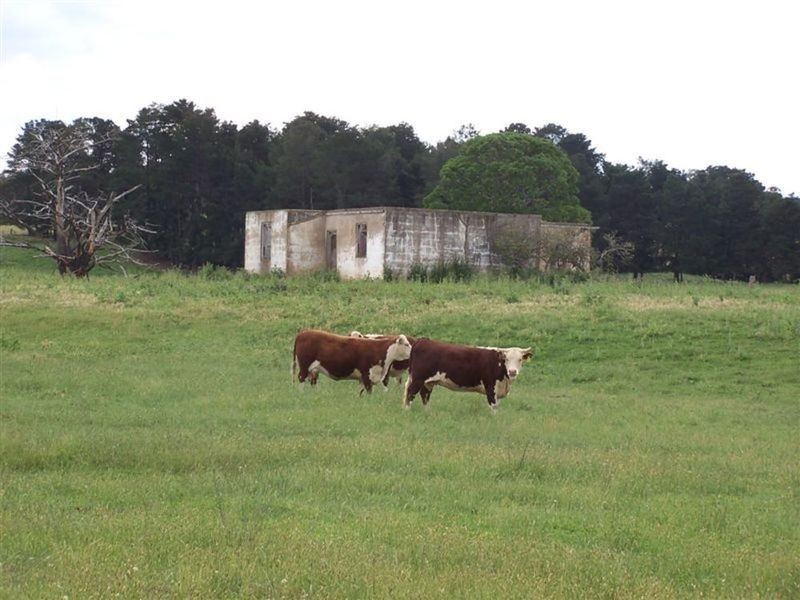 Lot 1 168 Cockatoo Road, Yalbraith NSW 2580