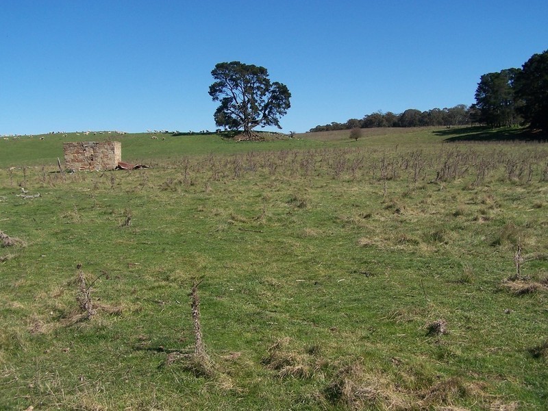 Lot 1 168 Cockatoo Road, Yalbraith NSW 2580