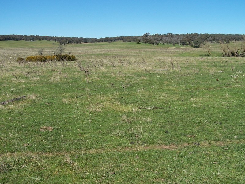 Lot 1 168 Cockatoo Road, Yalbraith NSW 2580