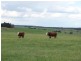 Lot 2 168 Cockatoo Road, Taralga NSW 2580