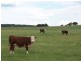 Lot 2 168 Cockatoo Road, Taralga NSW 2580