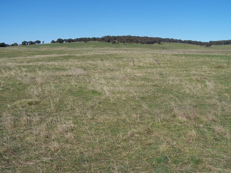 Lot 2 168 Cockatoo Road, Taralga NSW 2580