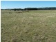 Lot 2 168 Cockatoo Road, Taralga NSW 2580