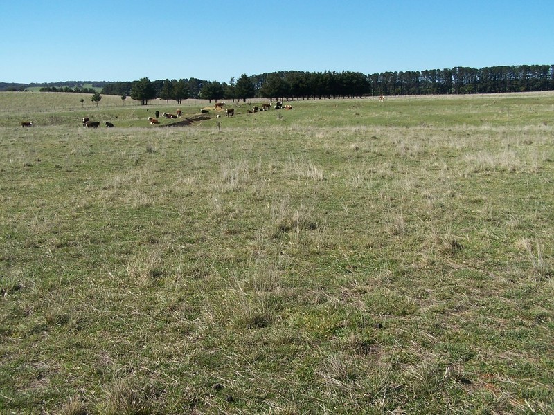 Lot 2 168 Cockatoo Road, Taralga NSW 2580