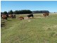 Lot 2 168 Cockatoo Road, Taralga NSW 2580