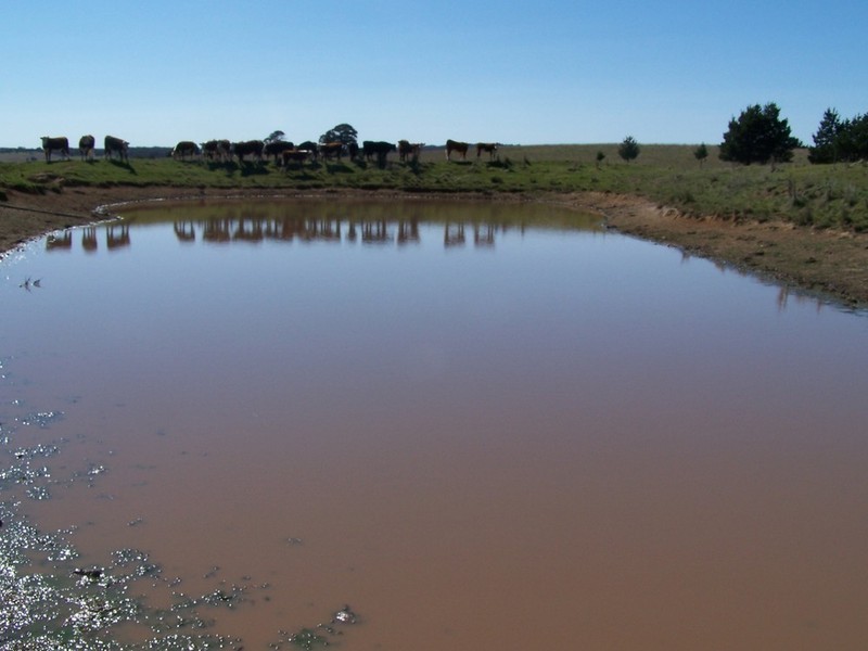 Lot 2 168 Cockatoo Road, Taralga NSW 2580