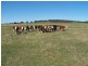 Lot 2 168 Cockatoo Road, Taralga NSW 2580