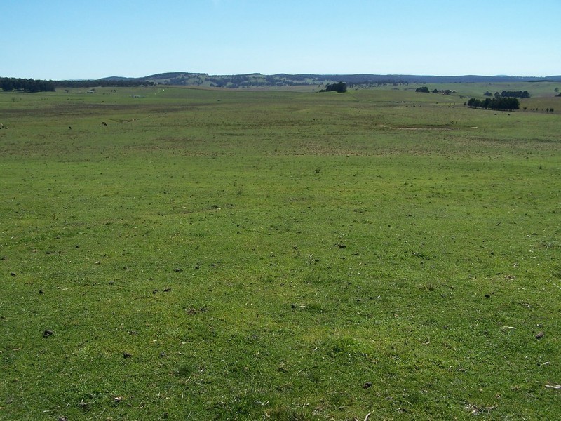 Lot 2 168 Cockatoo Road, Taralga NSW 2580