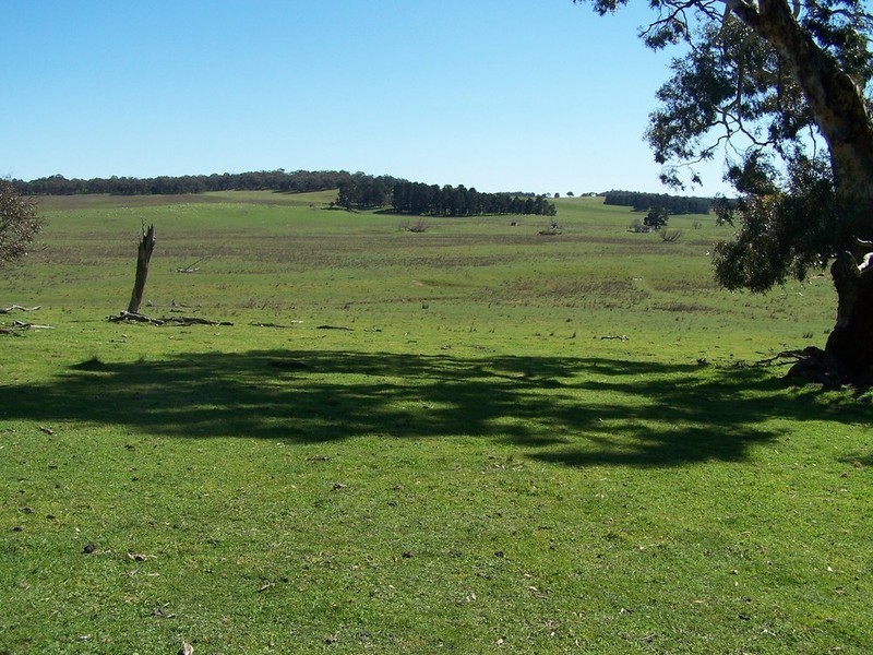 Lot 2 168 Cockatoo Road, Taralga NSW 2580