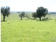 Lot 2 168 Cockatoo Road, Taralga NSW 2580