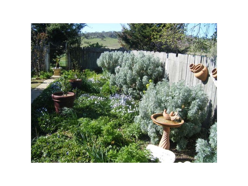 214 Cullerin Road, Breadalbane NSW 2581