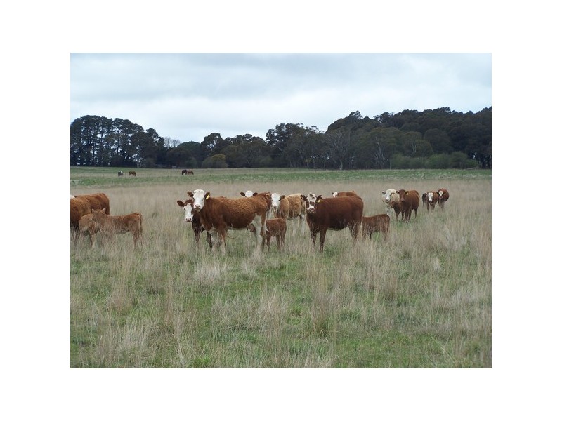 Lot 153 & 154 Kialla Road, Crookwell NSW 2583