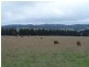 Lot 153 & 154 Kialla Road, Crookwell NSW 2583