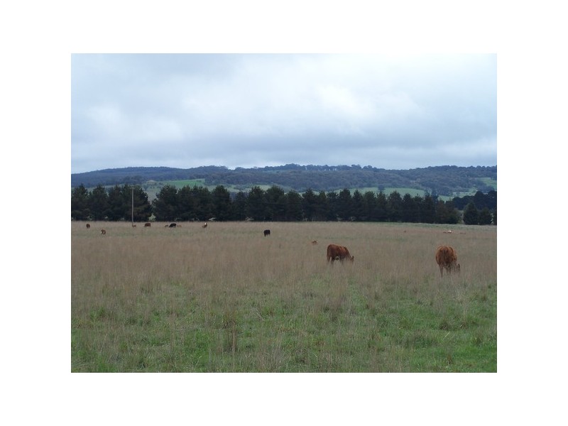 Lot 153 & 154 Kialla Road, Crookwell NSW 2583