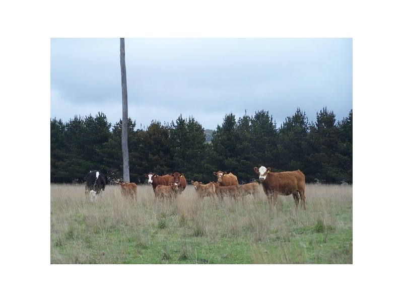 Lot 153 & 154 Kialla Road, Crookwell NSW 2583