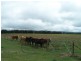 Lot 153 & 154 Kialla Road, Crookwell NSW 2583