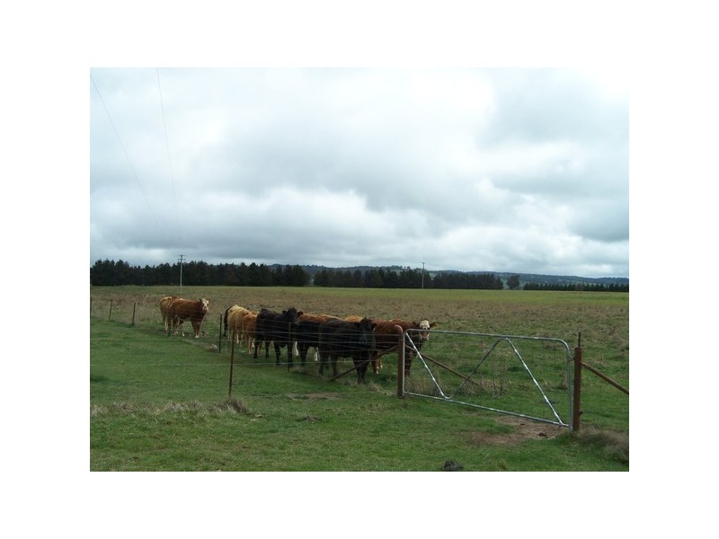 Lot 153 & 154 Kialla Road, Crookwell NSW 2583