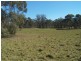 245 Winfarthing Road, Marulan NSW 2579