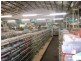 12 & 6 Barton & Bloomfield Street, Cobar NSW 2835