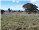 Lot 1 Peelwood Road, Laggan NSW 2583
