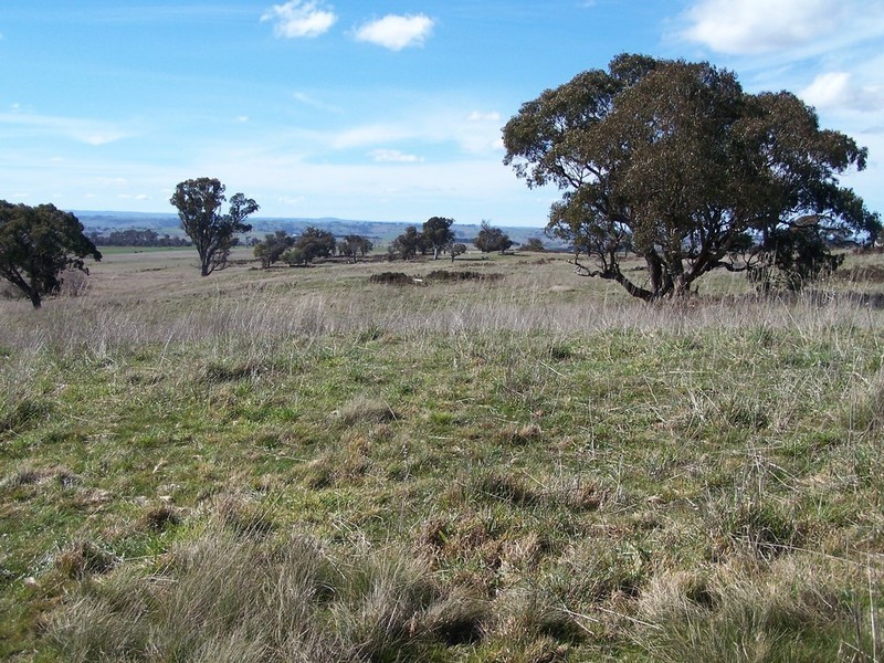 Lot 1 Peelwood Road, Laggan NSW 2583