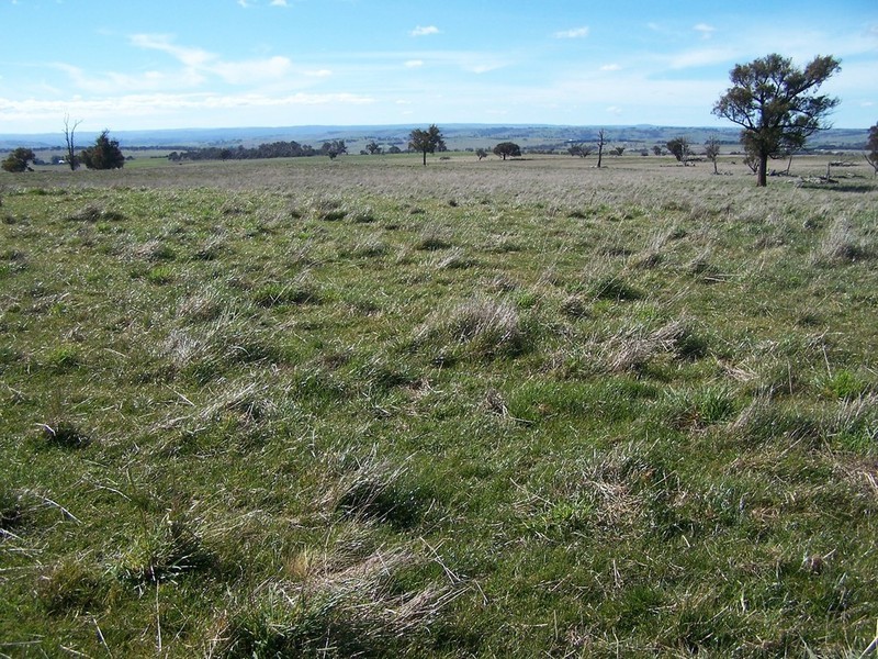 Lot 1 Peelwood Road, Laggan NSW 2583