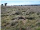 Lot 1 Peelwood Road, Laggan NSW 2583