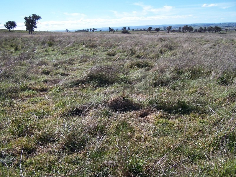 Lot 1 Peelwood Road, Laggan NSW 2583