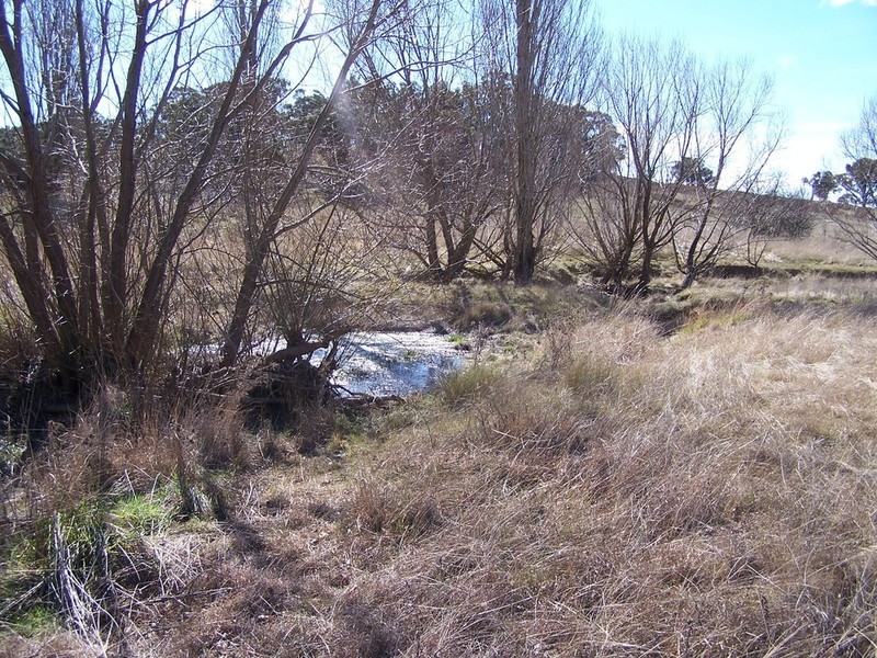 Lot 1 Peelwood Road, Laggan NSW 2583