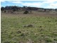 Lot 1 Peelwood Road, Laggan NSW 2583