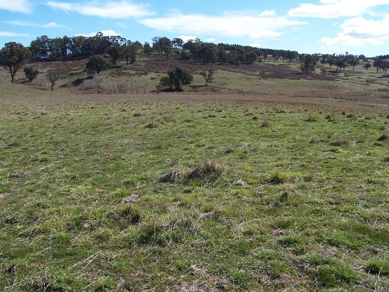 Lot 1 Peelwood Road, Laggan NSW 2583