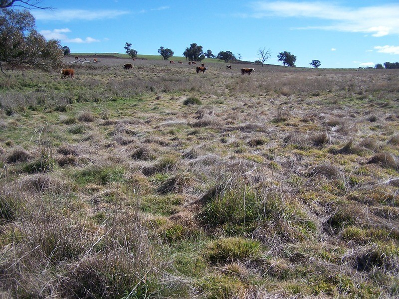 Lot 2 Peelwood Road, Laggan NSW 2583