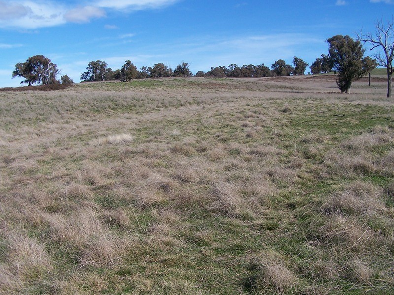 Lot 2 Peelwood Road, Laggan NSW 2583