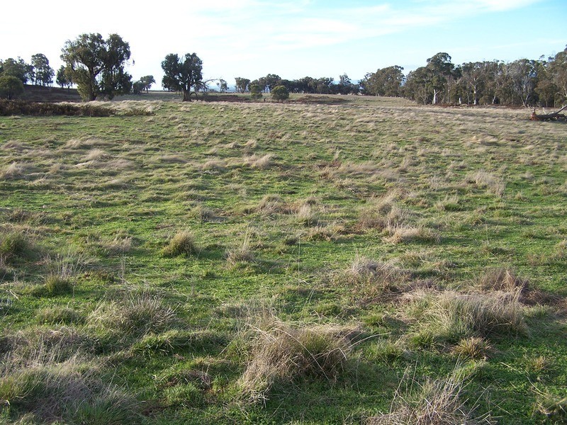 Lot 2 Peelwood Road, Laggan NSW 2583