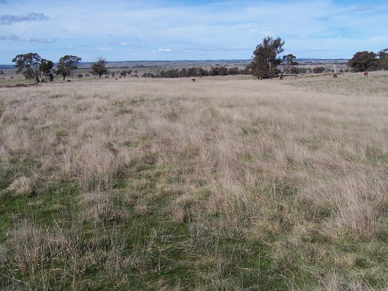 Lot 2 Peelwood Road, Laggan NSW 2583