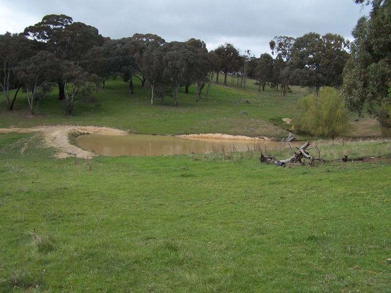 791 Bridge Creek Road, Binda NSW 2583