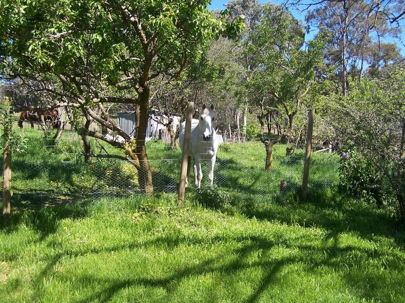 791 Bridge Creek Road, Binda NSW 2583