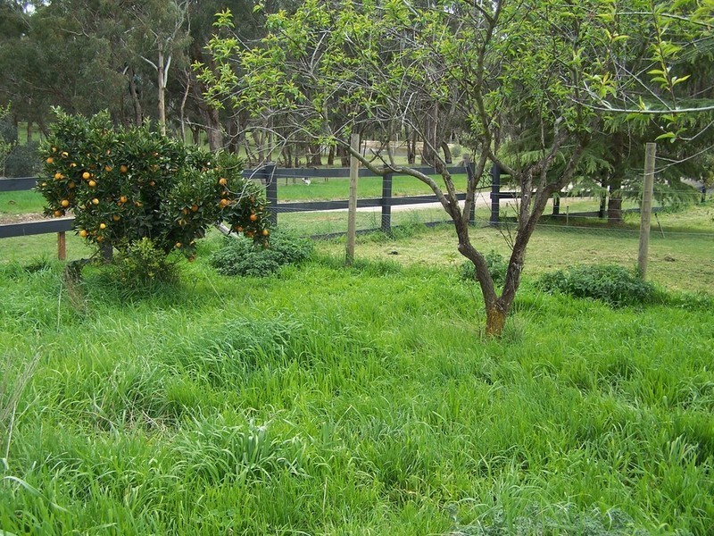 791 Bridge Creek Road, Binda NSW 2583