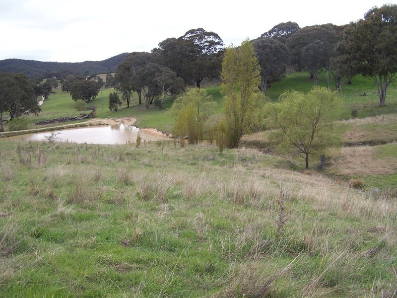 791 Bridge Creek Road, Binda NSW 2583