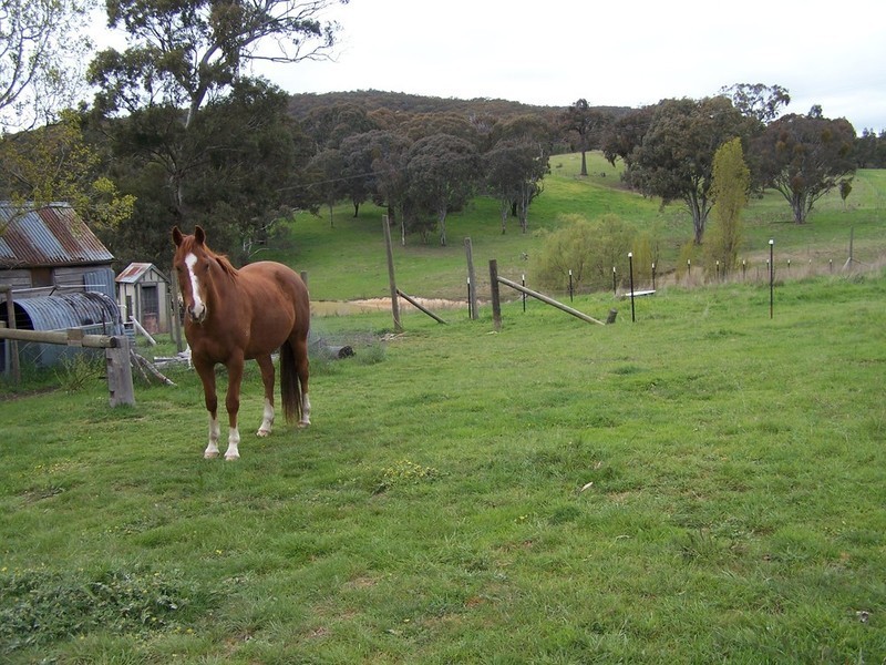 791 Bridge Creek Road, Binda NSW 2583