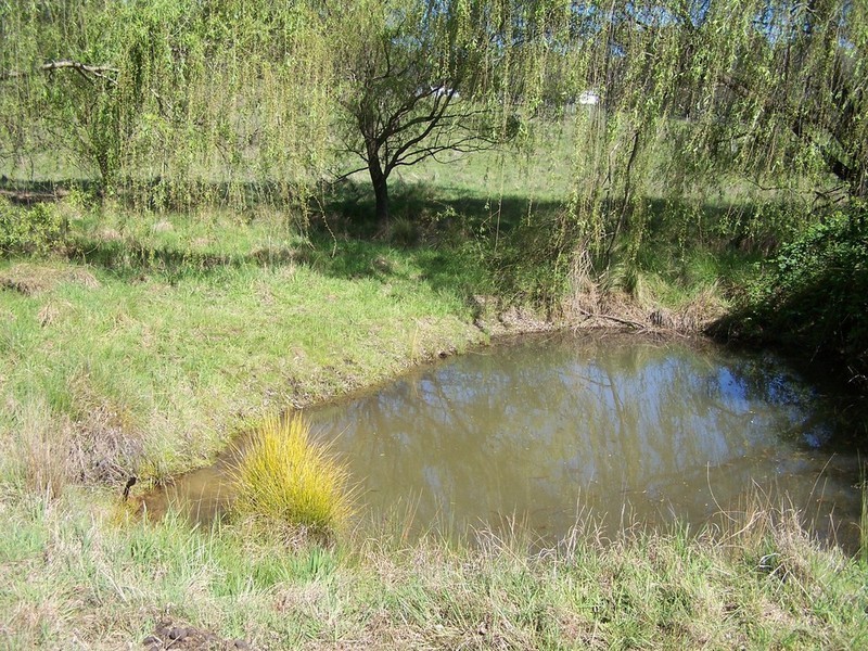 791 Bridge Creek Road, Binda NSW 2583