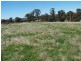Lot 3 Peelwood Road, Laggan NSW 2583