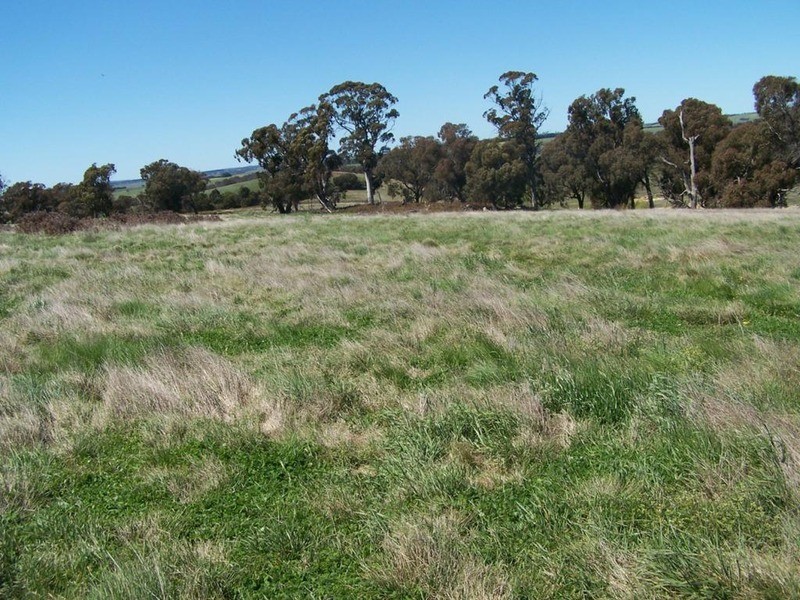 Lot 3 Peelwood Road, Laggan NSW 2583