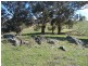 Lot 5 Greenmantle Road, Bigga NSW 2583